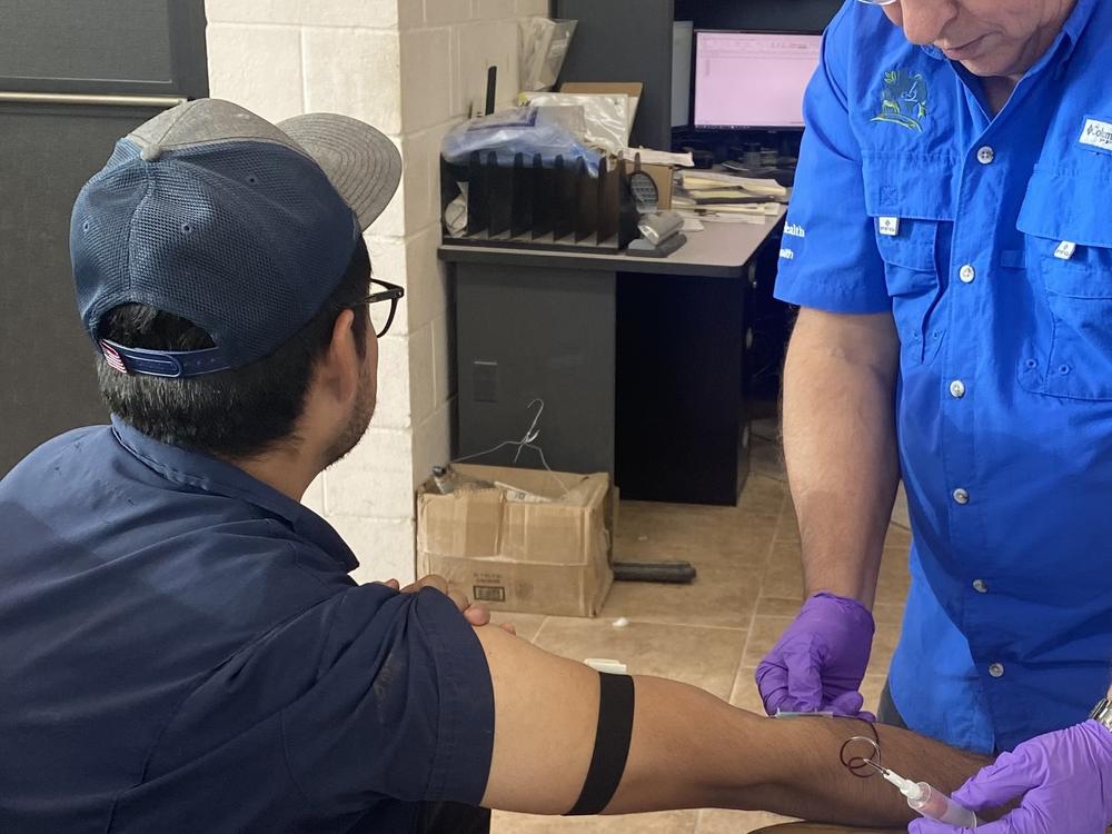 A researcher draws blood from a farmworker to analyze it for signs of a previous bird flu infection. 
