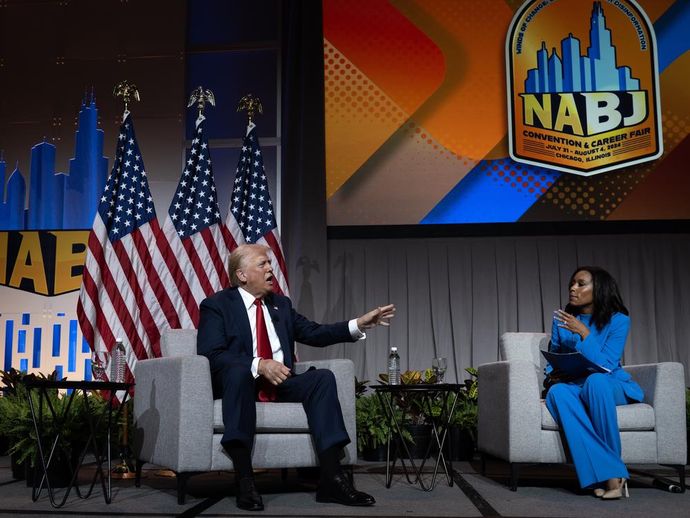 CHICAGO, ILLINOIS - JULY 31: Republican presidential candidate former President Donald Trump speaks with Rachel Scott, senior congressional correspondent for ABC News during a question and answer session at the National Association of Black Journalists (NABJ) convention at the Hilton Hotel on July 31, 2024 in Chicago, Illinois. Trump also fielded questions from Harris Faulkner, anchor of The Faulkner Focus on FOX News and Kadia Goba, politics reporter at Semafor during the event. (Photo by Scott Olson/Gett…