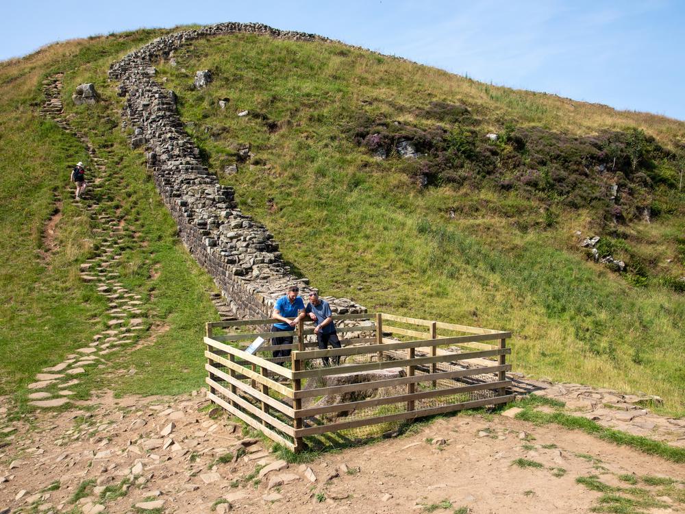 A fence protects the site of the Sycamore Gap tree's stump on the Hadrian’s Wall Path National Trail, where new shoots recently appeared. 