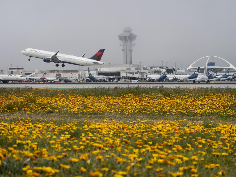 A Delta Air Lines jet takes off at the Los Angeles International Airport in April. Ed Bastian, the airline's CEO, says the CrowdStrike outage has cost the carrier $500 million. 