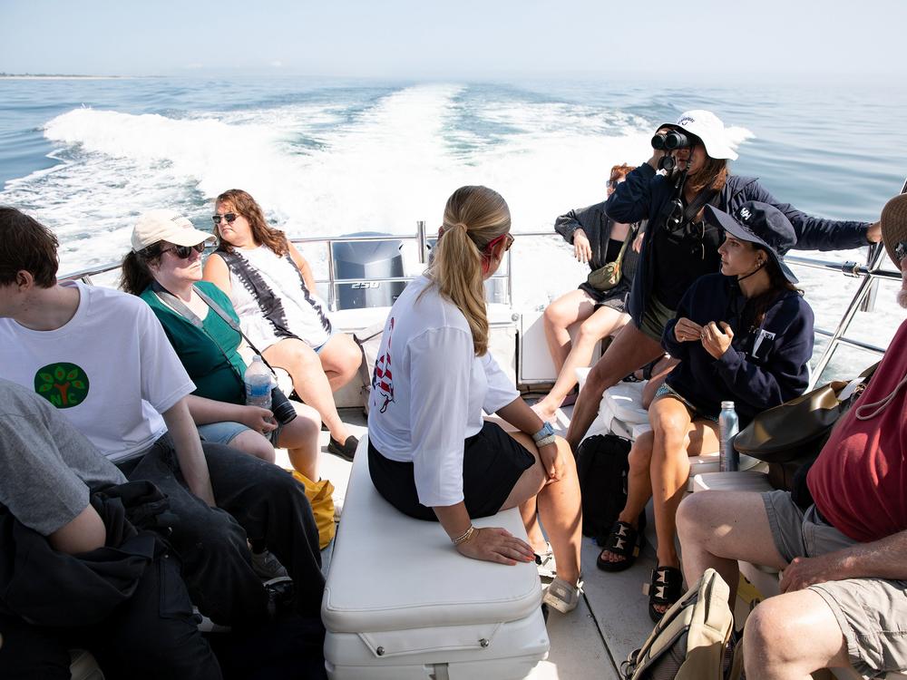 The tour heads back into the harbor with satisfied passengers. From left to right, Jacob Dunne, Valerie Bogan, Lisa Castle, Gigi Marino, Kate Hales, Victoria Germann, Olivia Germann, and Walter Pytlak. 