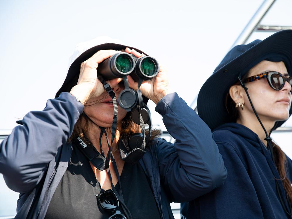 Victoria Germann (left) takes a closer look at the spotter plane, which has appeared on the horizon. She and her daughter Olivia Germann (right), 24, came from Connecticut to but were prepared to travel as far as Guadalupe Island last year to see white sharks, when the Mexican hotspot was closed to shark eco-tourism due to the environmental impacts of the unregulated industry.