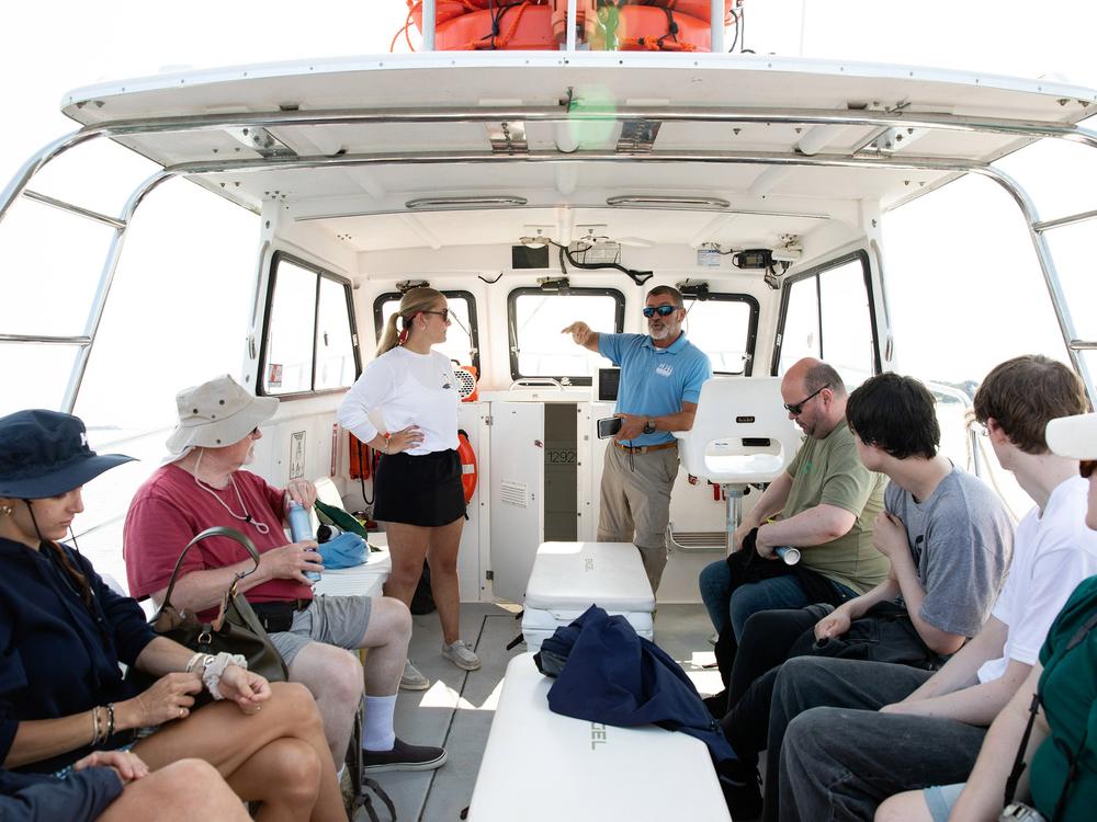 Like any boat tour, Captain Nick Franco, 55, explains where the life jackets, fire extinguishers, and head are onboard. Brigitte “Gigi” Marino, 22 (no relation to the author) has a bachelor’s degree in Marine Biology and is there to answer any questions passengers might have about white sharks biology. Though the 30-foot boat is rated for 20 passengers, Down Cape only allows 10. That way, it’s safe for everyone to gather on the shark-side of the boat, but Franco asks that people rotate to the gunwale cordi…