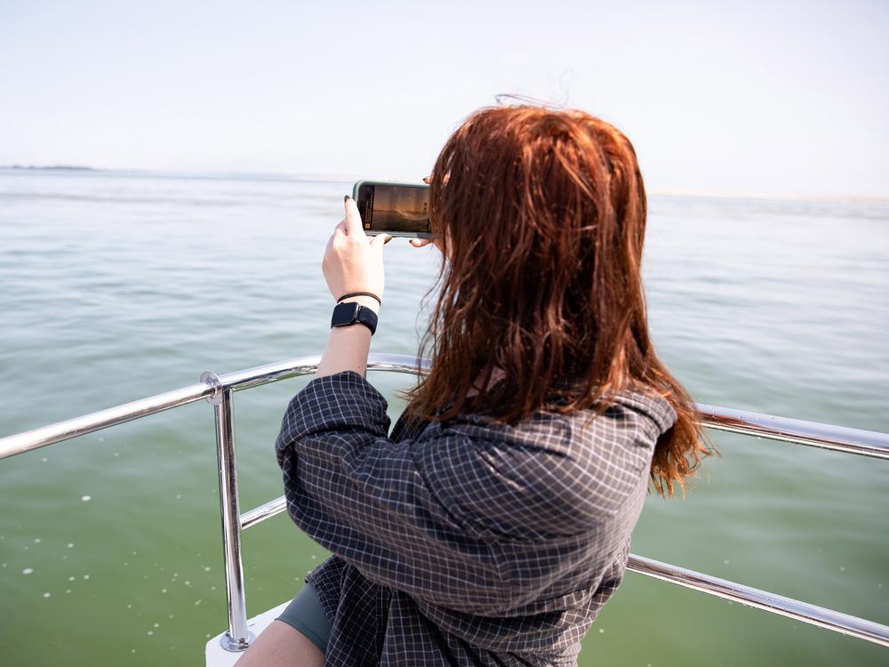 Katherine “Katie” Hales, 27, a biology major who works in finance, says that seeing a white shark was on her “bucket list.”