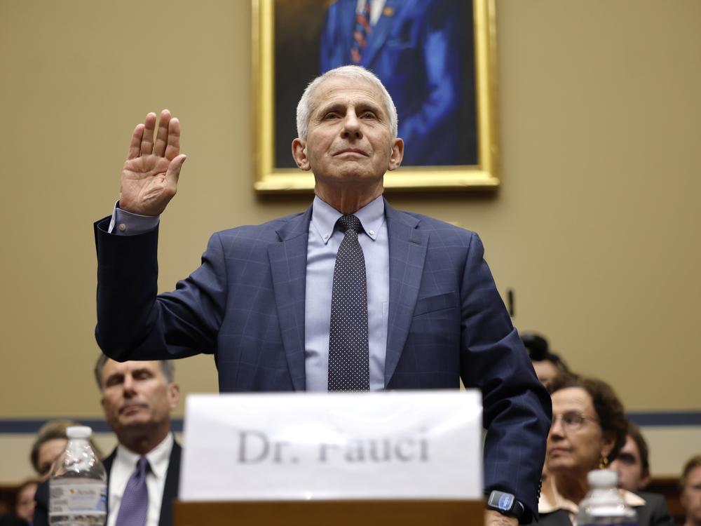 Dr. Anthony Fauci, former Director of the National Institute of Allergy and Infectious Diseases, is sworn-in before testifying before the House Oversight and Accountability Committee Select Subcommittee on the Coronavirus Pandemic at the Rayburn House Office Building on June 03, 2024 in Washington, DC. The Subcommittee is holding a hearing on the findings from a fifteen month Republican-led probe of former Director of the National Institute of Allergy and Infectious Diseases Dr. Anthony Fauci and the COVID…