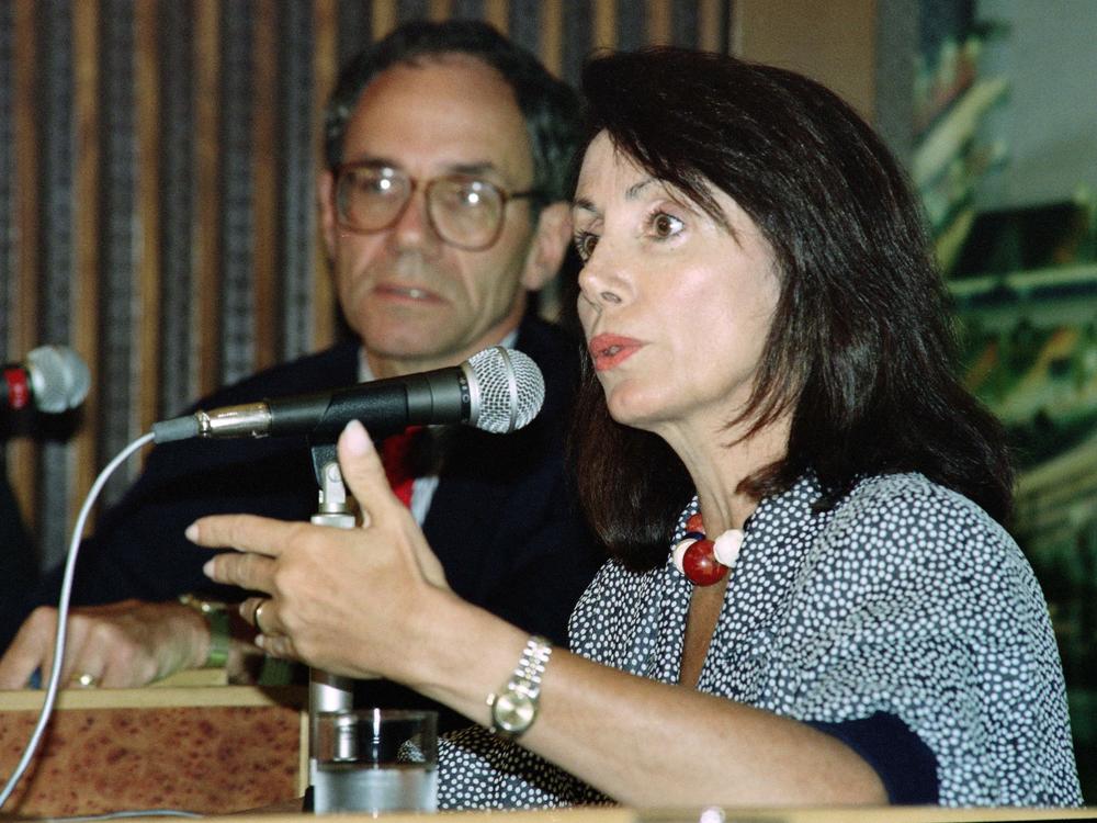 Congresswoman Nancy Pelosi talks to reporters at a press conference in 1991.