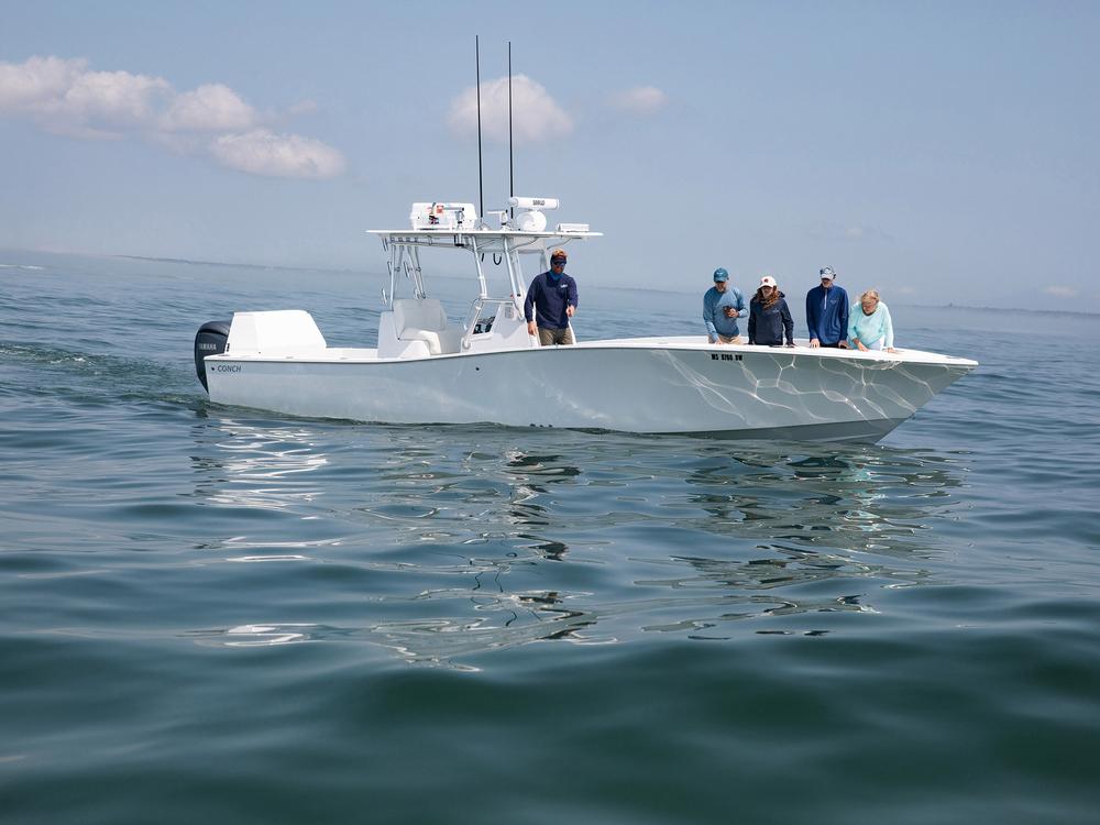 Great white shark tours have become popular around Cape Cod as more of the largest predator fish are showing up here. Captain Cullen Lundholm (left) of White Sharks Tours Cape Cod points to a 12-foot female shark as passengers of a private charter try to spot it. Tours like this are pricey as companies use spotter planes to find the great whites.  A private tour on a charter boat can costs $2,000 dollars or more, while group tours are around $300 per person. 