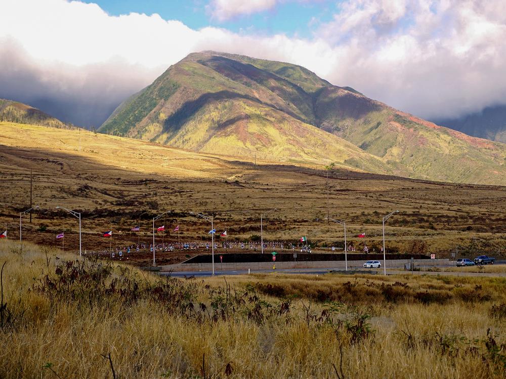 The hills above Lahaina are golden brown with invasive grasses again, one year after the fire. Some in the community want to see it become a less flammable landscape, like restoring native forest or traditional Hawaiian agriculture. 
