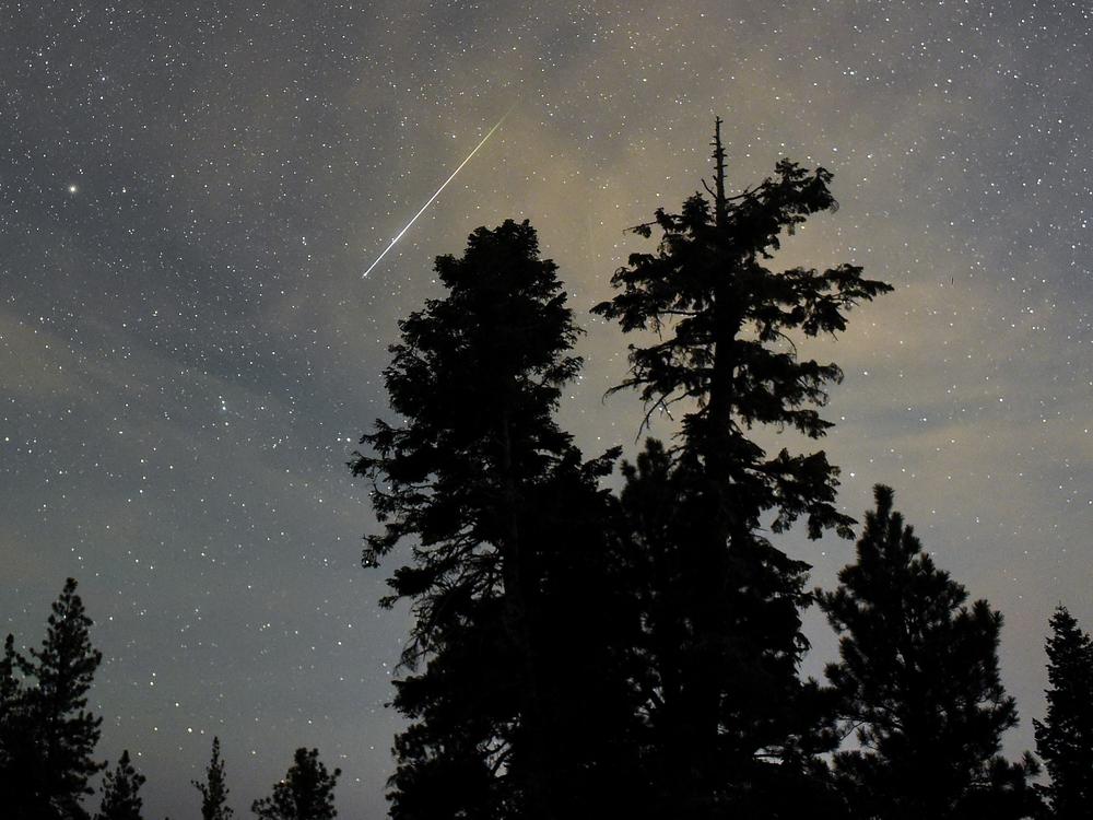 A Perseid meteor streaks across the sky above desert pine trees on Aug. 13, 2015, in the Spring Mountains National Recreation Area in Nevada. 