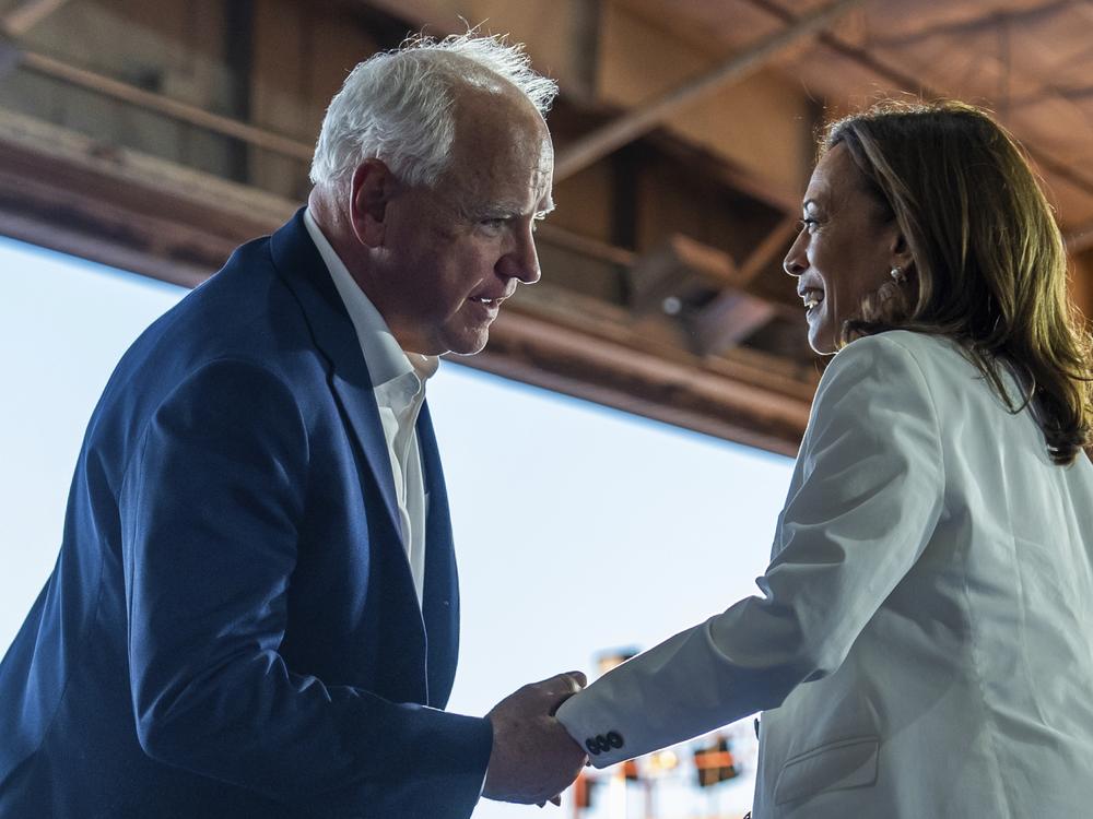  Democratic presidential nominee Vice President Kamala Harris and her running mate Minnesota Gov. Tim Walz hold hands during a campaign rally at Detroit Metropolitan Wayne County Airport, Wednesday, August 7, 2024, in Romulus, MI.