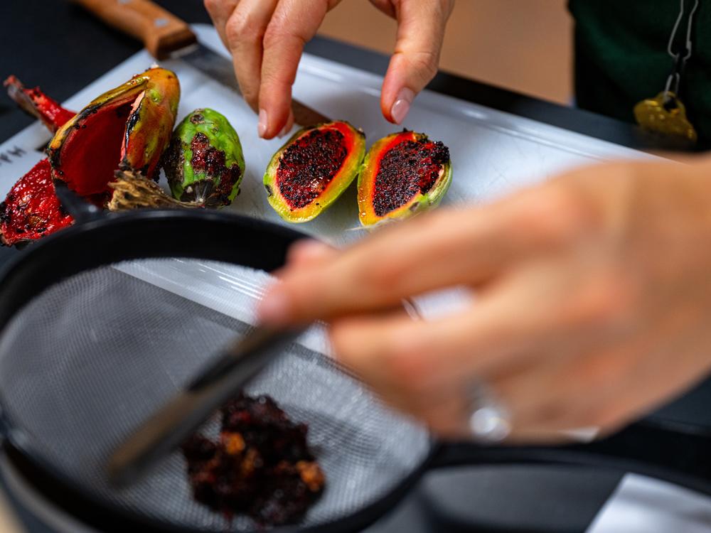 Tania Hernandez, Ph.D. trains volunteer Judy Hurst to process saguaro seeds at the Desert Botanical Garden in Phoenix, Arizona on Friday, June 28, 2024. The scientists and volunteers wash the seeds several times just after harvesting and dry them before planting them. 