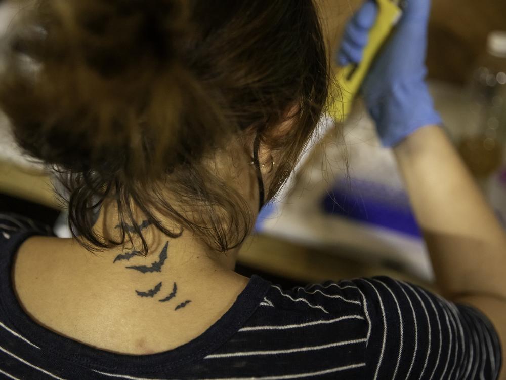 Marin got her bat tattoo after a big international bat conference when she decided she wanted to work with these animals professionally.