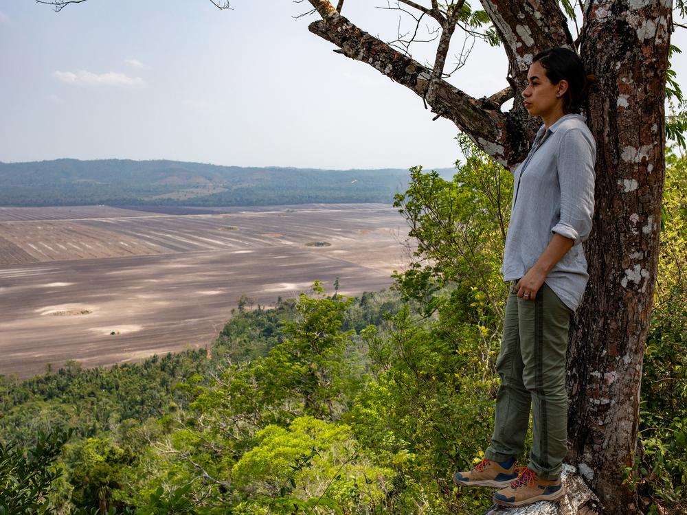 “It’s always sad to come here and see more and more of the forest going,” Marin says as she looks out over a once-forested landscape that has been torn down to make way for cornfields.