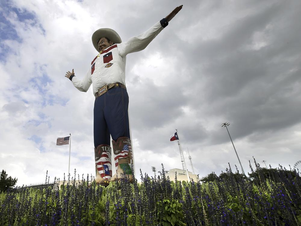 Bluebonnets, the state flower of Texas, is shown surrounding Big Tex as storm clouds move in above, Friday, Sept. 27, 2013, in Dallas.  (AP Photo/Tony Gutierrez, File)