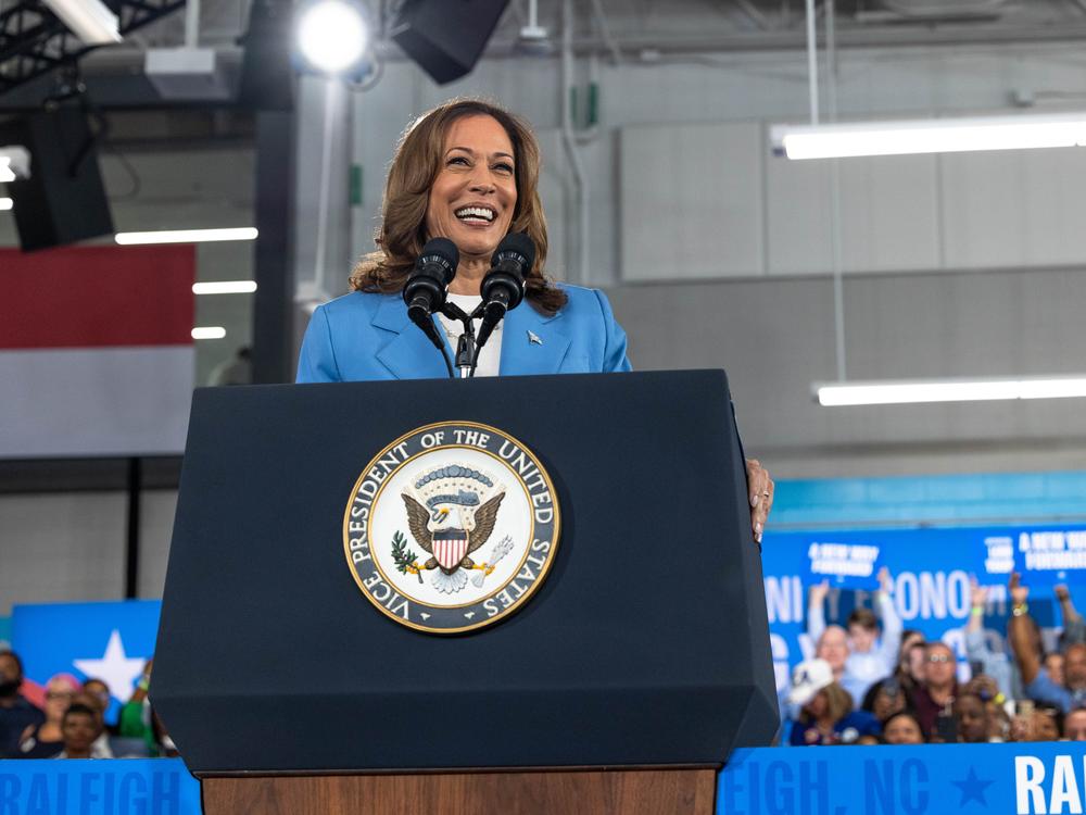 Democratic U.S. presidential candidate Vice President Kamala Harris speaks on her policy platform, including improving the cost of living for all Americans, at the Hendrick Center For Automotive Excellence on August 16, 2024 in Raleigh, North Carolina.