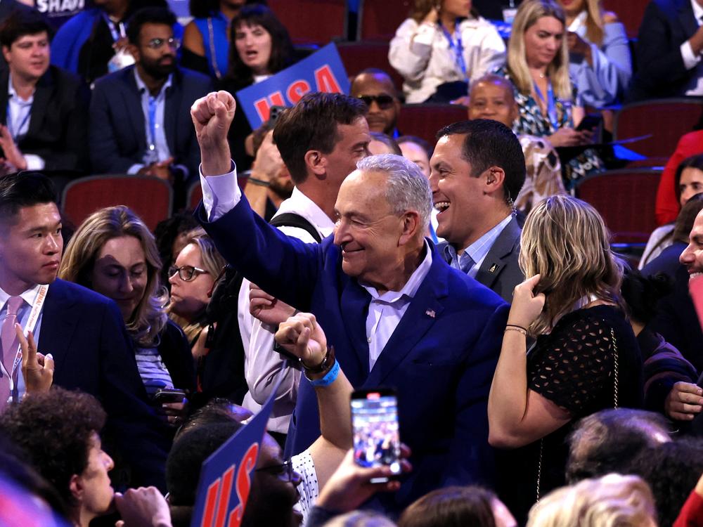 Senate Majority Leader Chuck Schumer gestures on the first day of the Democratic National Convention in Chicago on Monday.