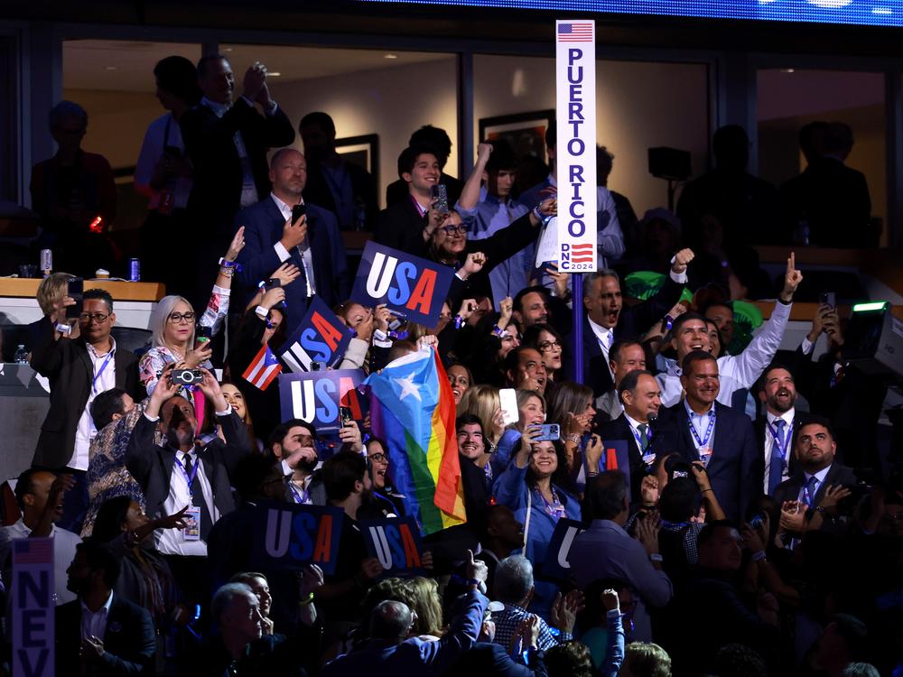Members of the Puerto Rico delegation cast their votes during the roll call.