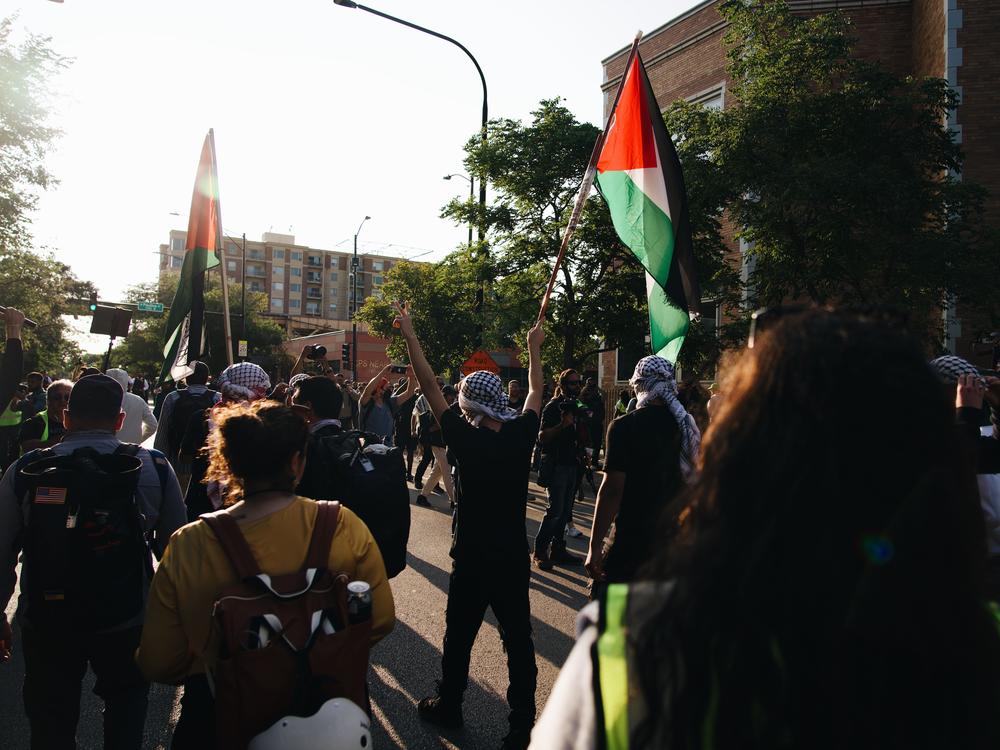 Protesters outside the DNC on August 21.