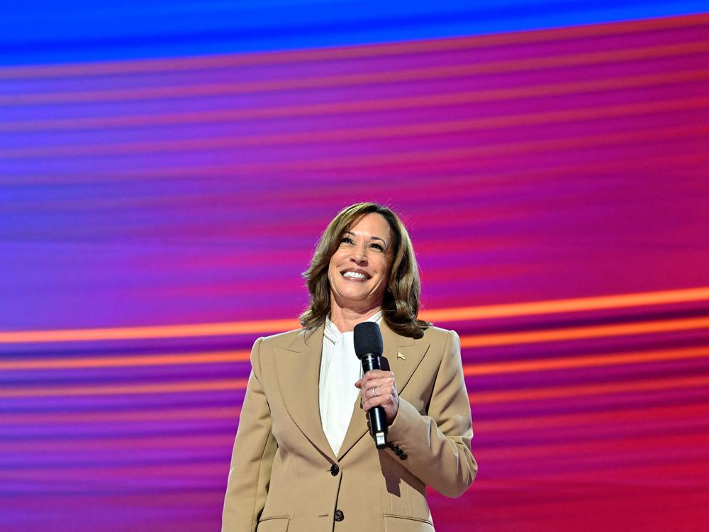 TUS Vice President and 2024 Democratic presidential candidate Kamala Harris speaks on the first day of the Democratic National Convention (DNC) at the United Center in Chicago, Illinois, on August 19, 2024.
