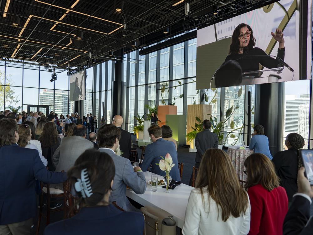 ‘Veep’ star Julia Louis-Dreyfus makes a surprise appearance at the “Climate Voters Go All In” event in Chicago, during the Democratic National Convention, on Aug. 20, 2024.