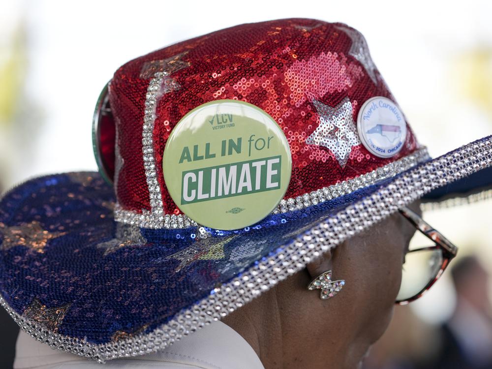 Doris Wallace, a board member for the North Carolina League of Conservation Voters, attends the “Climate Voters Go All In” event in Chicago, during the Democratic National Convention, on Aug. 20, 2024.
