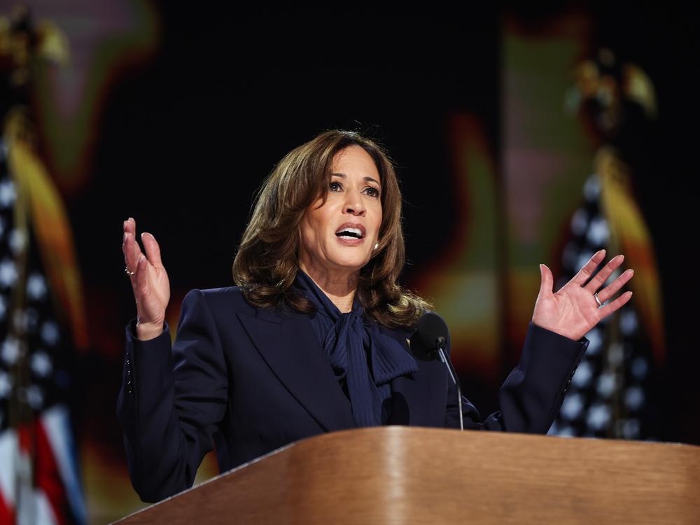 Vice President Harris speaks on stage during the final day of the Democratic National Convention on Aug. 22, 2024.
