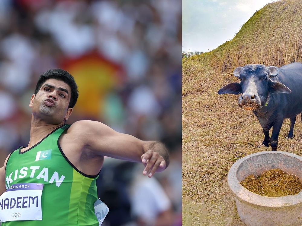 Arshad Nadeem of Pakistan competes during the men's javelin throw at the Olympics in Paris. He won gold, set an Olympic record — and reaped lots of prizes, including a buffalo from his father-in-law. It's all about the milk!
