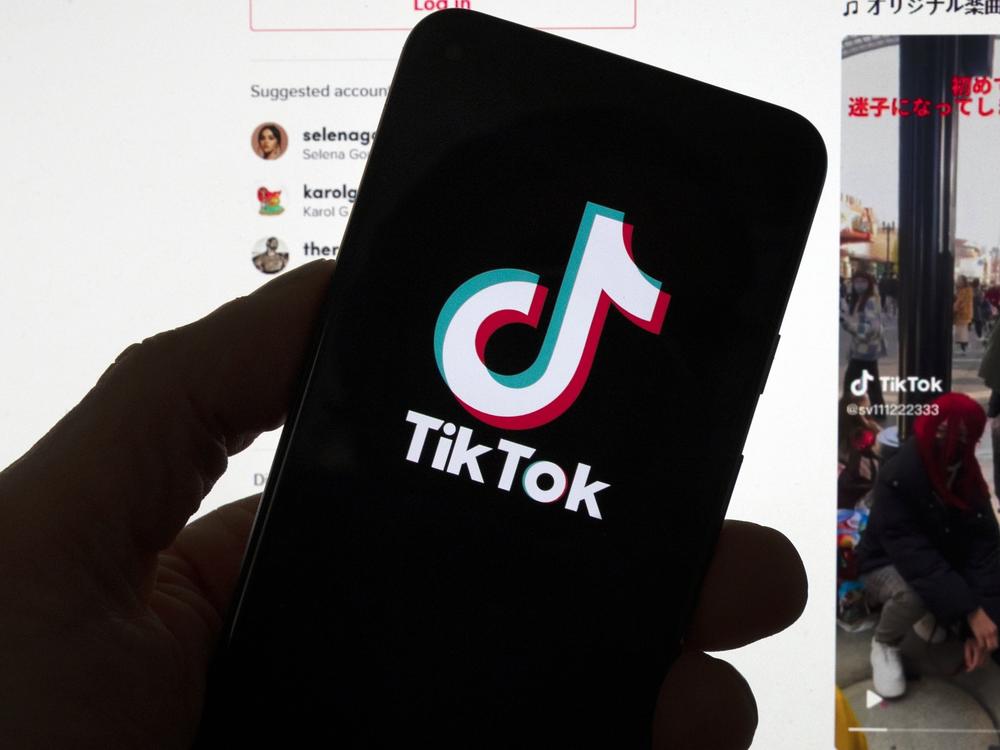 TikTok and the Department of Justice will face off next month in Washington in front of a panel of federal appeals judges over the fate of the popular app. But lawyers for TikTok say the government is trying to ban the service based on secret evidence. The Justice Department counters that material is classified. 