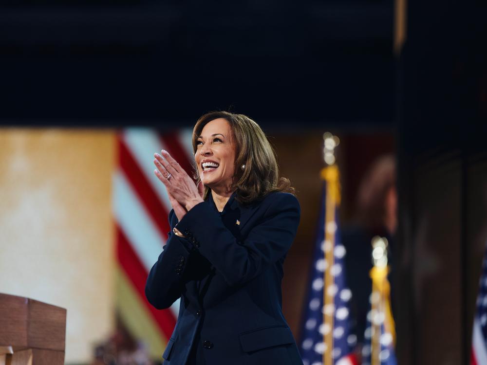 Vice President Kamala Harris accepts the presidential nomination on the last night of the DNC. 