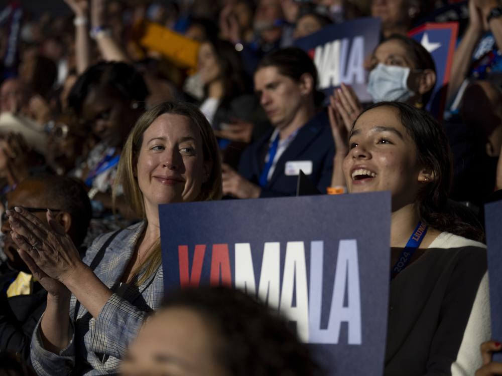 People cheer for the Obamas at the DNC.