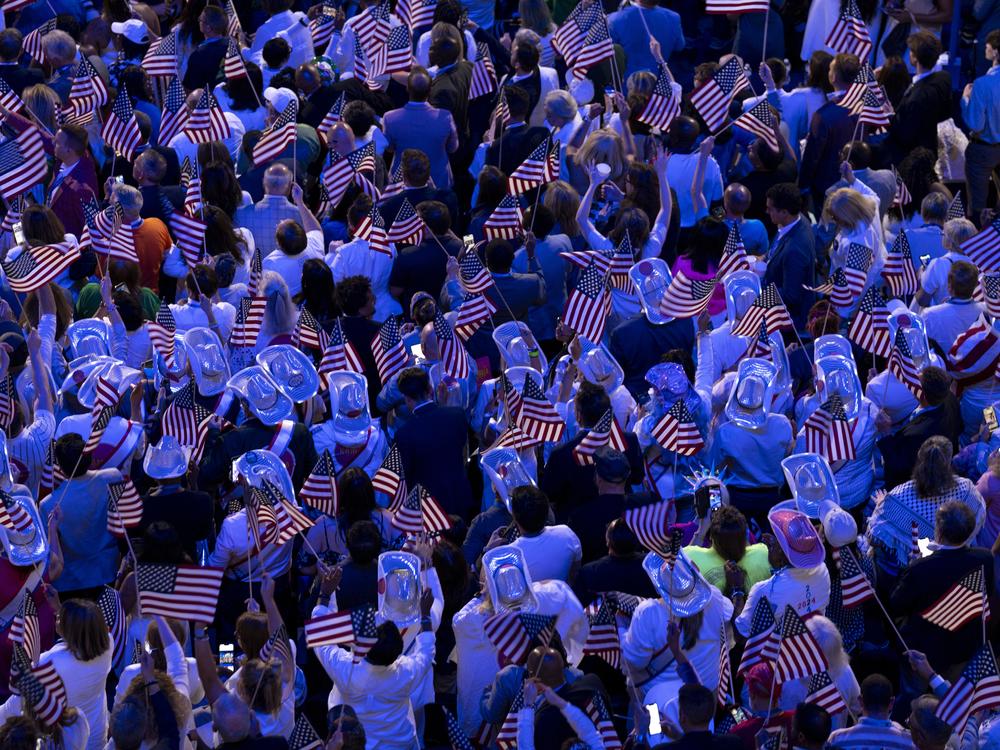 Attendees cheer as Vice President Kamala Harris speaks at the DNC.
