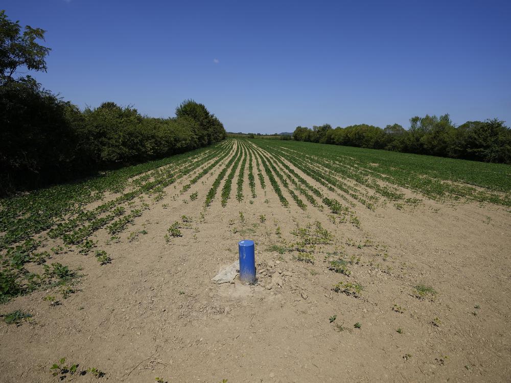 Multinational company Rio Tinto's test drill hole is seen in a field in the Jadar Valley, Serbia, Aug. 6.