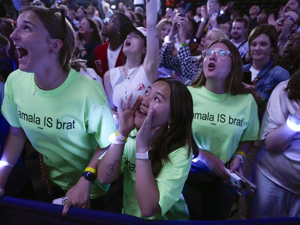 Supporters cheer as Democratic presidential nominee Vice President Kamala Harris speaks at the Fiserv Forum during a campaign rally in Milwaukee, Tuesday, Aug. 20, 2024. (AP Photo/Jacquelyn Martin)