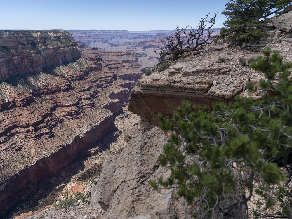 The South Rim of Grand Canyon National Park is seen in Grand Canyon Village, Ariz., Aug. 8, 2023.