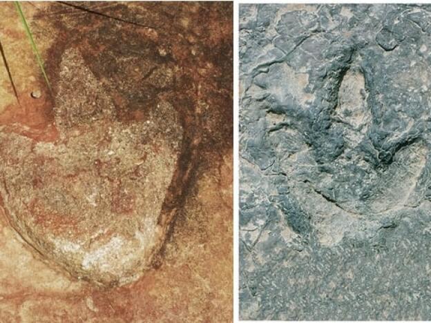 Researchers analyzed theropod footprints in Brazil, left, and in Cameroon, right.