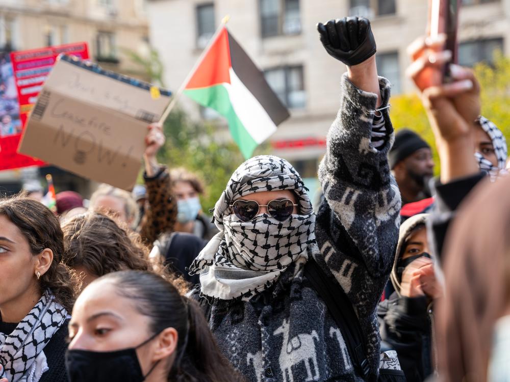 Students take part in pro-Palestinian protests in November.