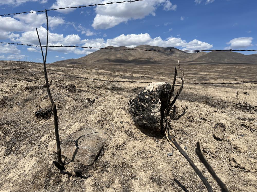 Range fires blackened hundreds of thousands of acres in eastern Oregon in a matter of hours in July. 
