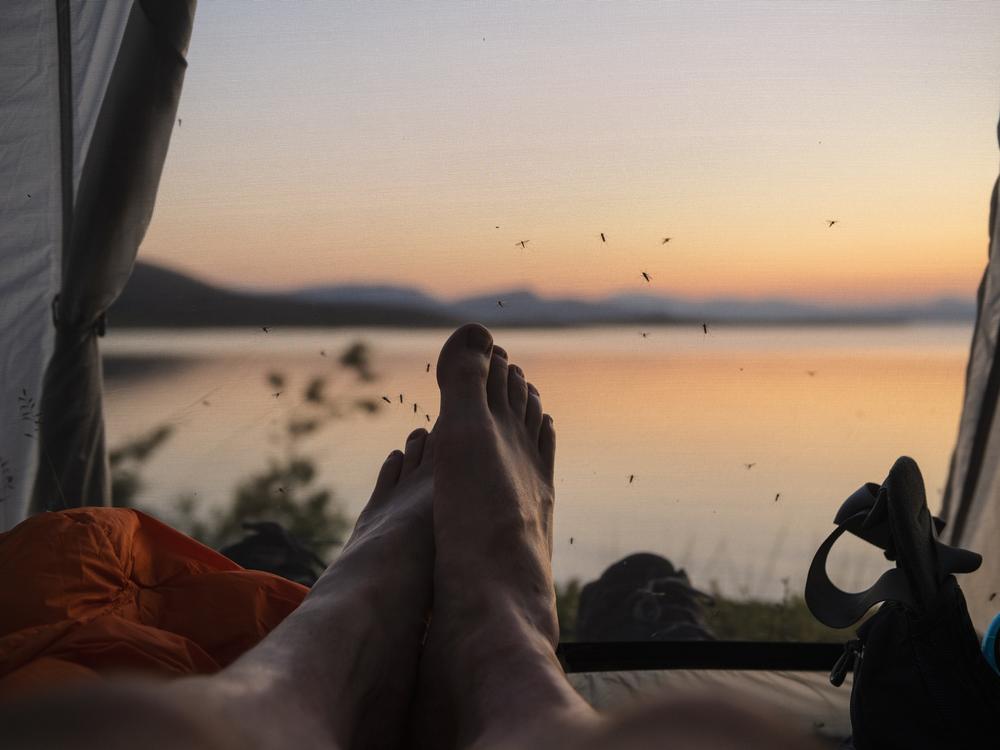  Mosquitoes kill more people than any other creature in the world.  So the key is — try not to get bitten.