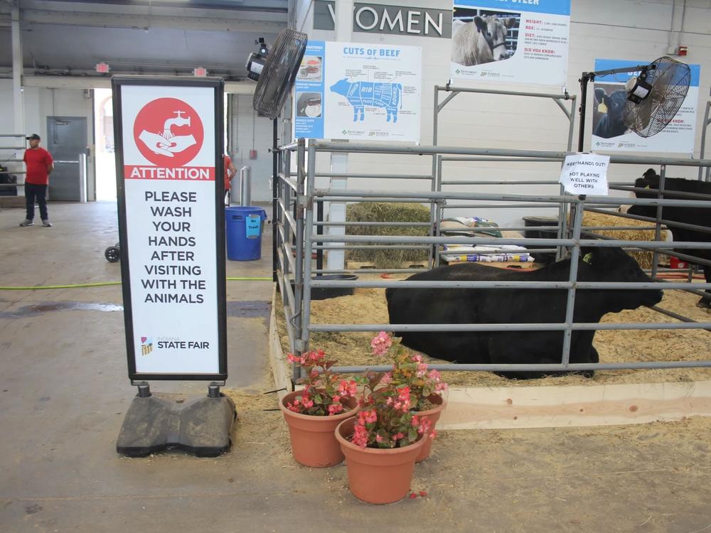  Indiana’s state fair has signs posted reminding visitors to wash their hands after visiting the cattle barn.