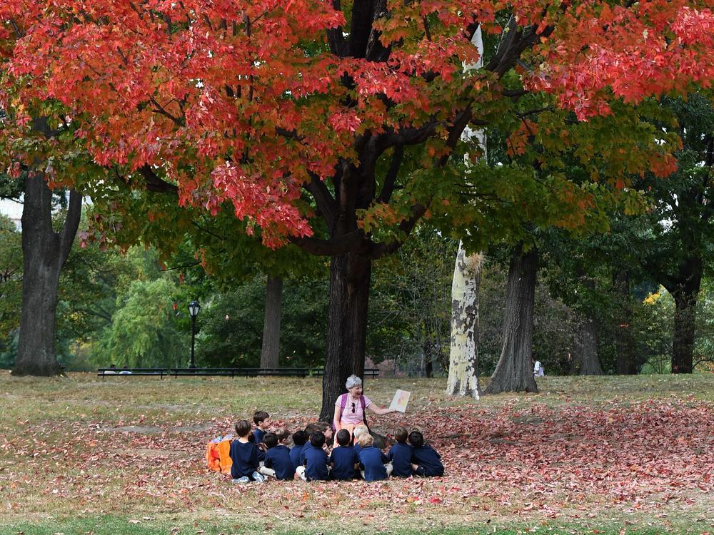 Gather 'round — we have some fall reading recommendations for you. Above, children listen to a story in Central Park on Oct. 23, 2017.