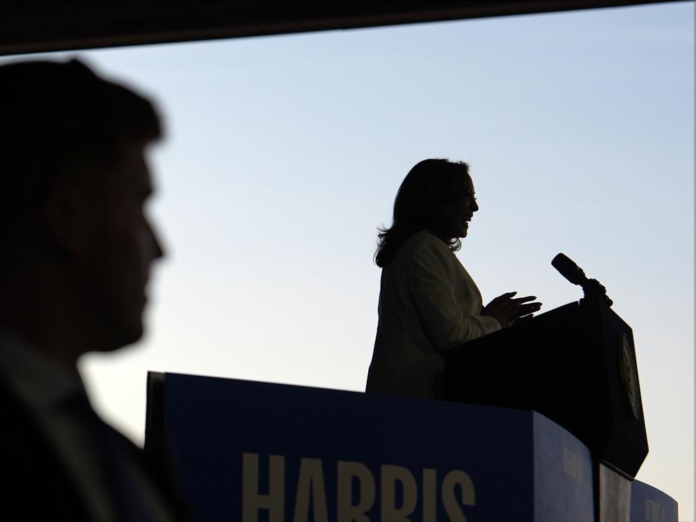 Vice President Harris speaks at a campaign rally on Aug. 7, 2024, in Romulus, Mich.