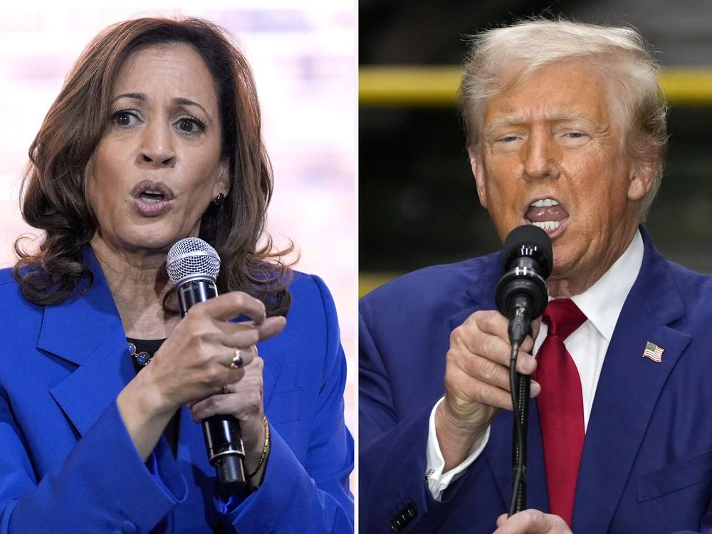 In this combination of photos taken in Pennsylvania, Democratic presidential nominee Vice President Kamala Harris speaks at a campaign event on Aug. 18 in Rochester, and Republican presidential nominee former President Donald Trump speaks during a campaign event on Aug. 19 in York. 