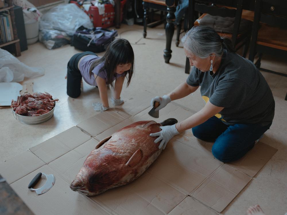 Panik John (right) teaches her granddaughter Bernadette Wiseman (left) how to process a baby seal using a traditional Uluaq knife at their home in Toksook Bay, Alaska. Panik and her husband Simeon lead CANHR’s programs and research projects in Toksook Bay, including Qungasvik.  