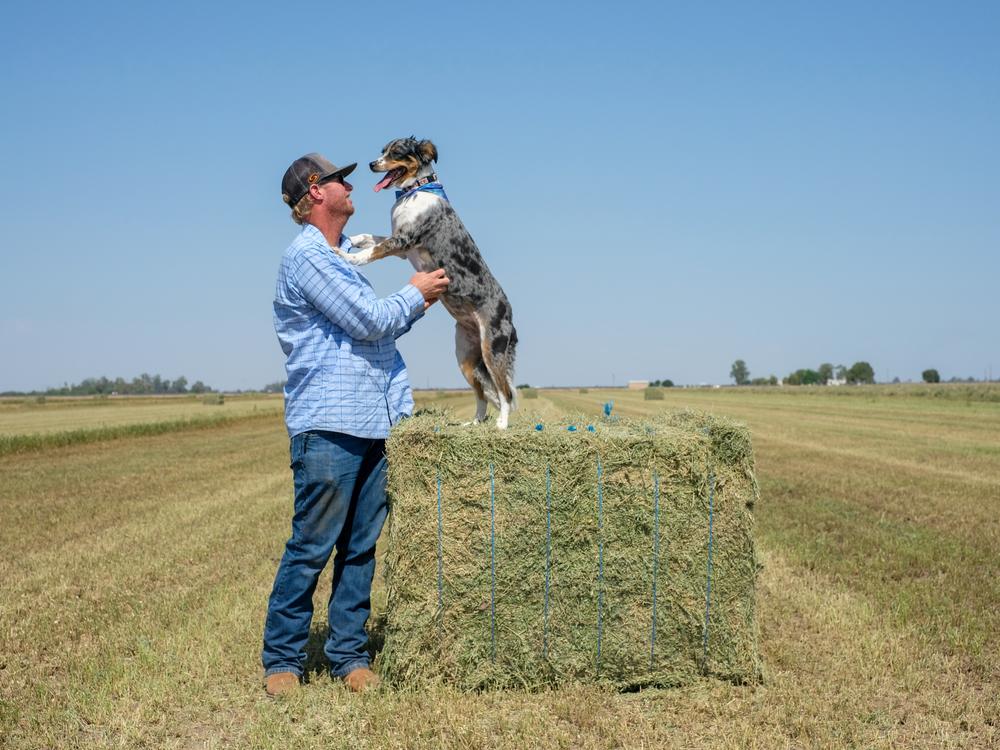 Trevor Tagg, 38, grows alfalfa and other hay crops in the Imperial Valley of Southern California. He says the business is tough, and he worries that increasingly strict water restrictions will ultimately decimate farming in the region. Despite the challenges, he says he loves the lifestyle — and getting to ride around in his truck with his dog, Lucy.