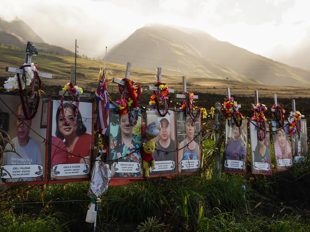 Photos of victims are displayed under white crosses at a memorial for victims of the August 2023 wildfire, above the Lahaina Bypass highway on Dec. 6, 2023 in Lahaina, Hawaii.