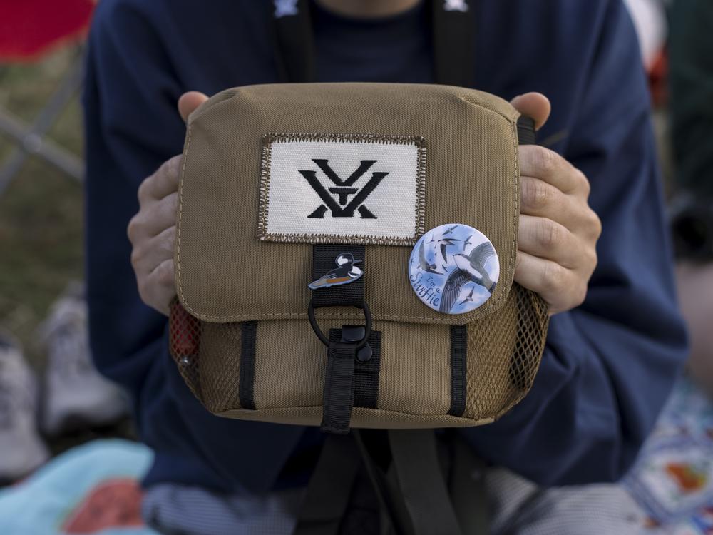 Georgiana Cassell's Vaux’s Swifts memorabilia in Portland, Oregon.