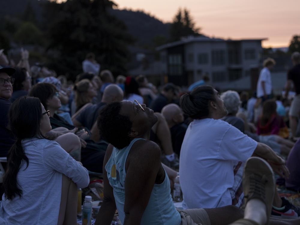 At sunset, Portlanders watch migrating Vaux's swifts as they prepare to roost in the Chapman Elementary chimney in Portland, Oregon.