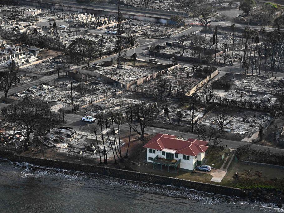 Despite extreme winds and fast-moving flames, researchers say some houses in Lahaina survived the wildfire last August thanks to precautions taken ahead of time. 