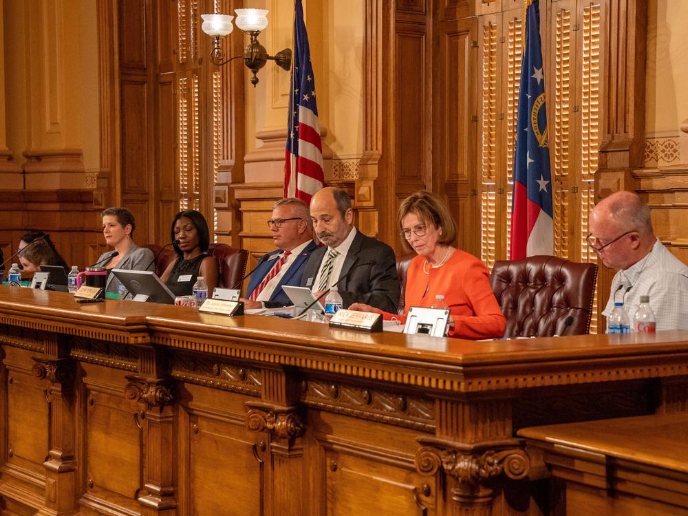 Georgia's five-member State Election Board is seen in August.