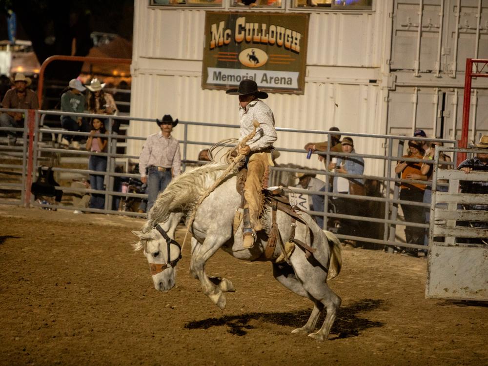 Attendees enjoy the Bronc Riding event at the Pahrump Fall Festival Rodeo in Pahrump, Nevada on Sept 21, 2024.